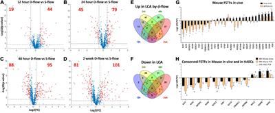 Sox13 is a novel flow-sensitive transcription factor that prevents inflammation by repressing chemokine expression in endothelial cells